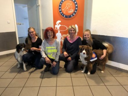 DogsTeam by Vera Schmitz