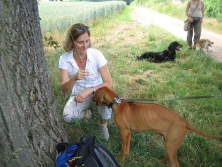 Hundeschule Mainz-Bingen