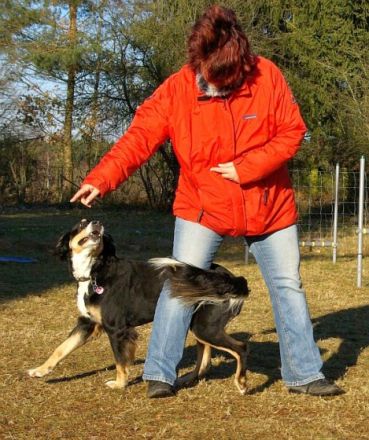 Hundeschule in Pyrbaum