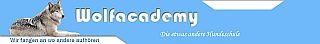 Hundeschule Wolfacademy