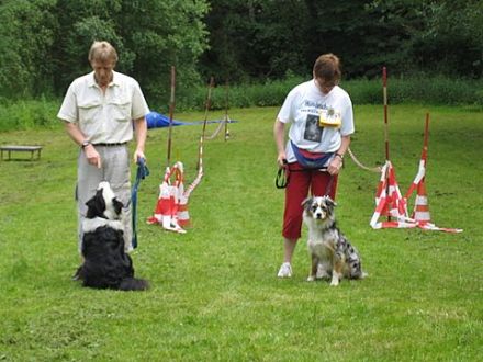 Hundeschule Wolfacademy