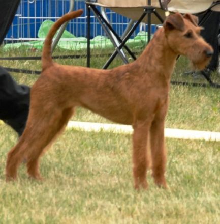 von der Weinbergsquelle