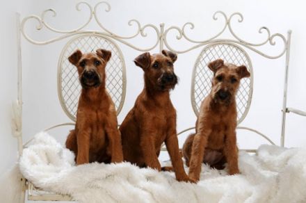 von der Weinbergsquelle