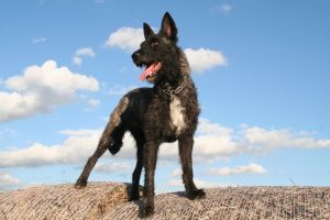 vom Airport Frankfurt