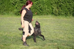 vom Airport Frankfurt