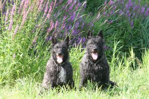 vom Airport Frankfurt