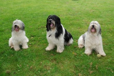 von den Elter Dünen