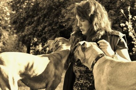 Hundepension"Hundeparadies Herrmann"