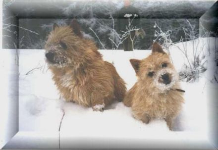 vom alten Marktsteig