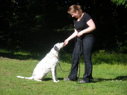 Hundeschule Seite an Seite