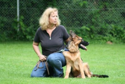 Hundefreunde-Waldblick e. V.