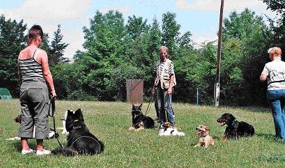 Hunde-Service-Laatz