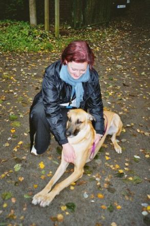 Hundetraining vor Ort