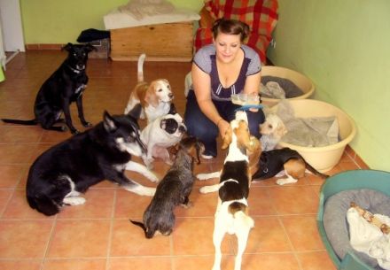 Hundekindergarten auf der Uhlenhorst