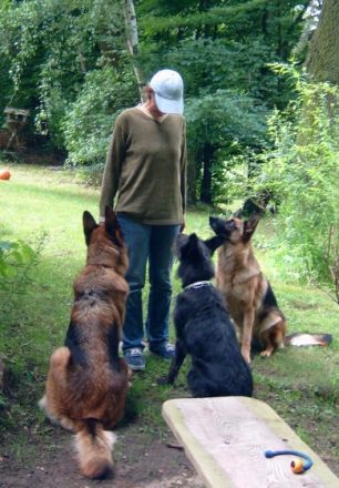 Hundeschule " Waldweg" (Neuruppin) und Pension