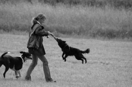 Hundeschule & Pension "Nina"