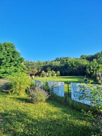 Michelle´s Hundeschule & -KITA