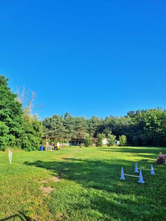 Michelle´s Hundeschule & -KITA