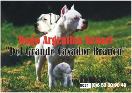 Del Grande Casador Branco