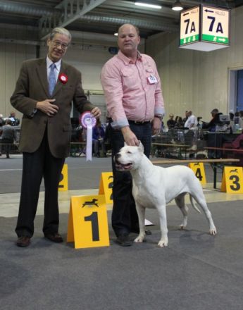 Del Grande Casador Branco