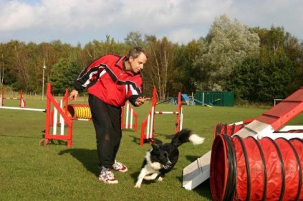 Partnerschule für Mensch und Hund