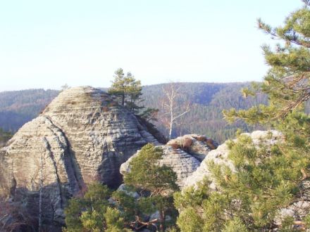 Ferienwohnung Bad Schandau Sächsische Schweiz