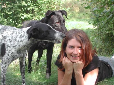 Scout-Verhaltensorientiertes Hundetraining