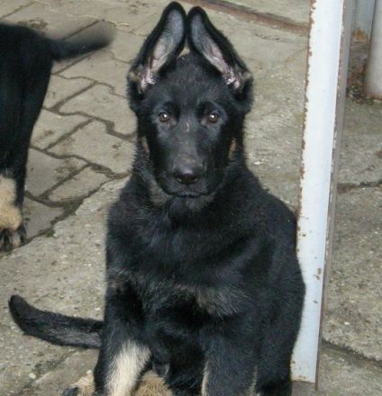 Vom Kraichgauer Land