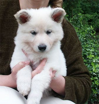 von der Herrin vom See