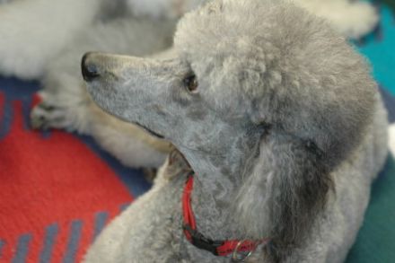 Aus dem Tabakstädtchen