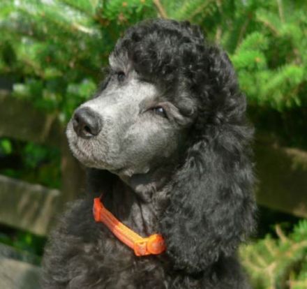 Aus dem Tabakstädtchen