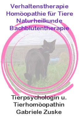 Tierpsychologie v. mobiler Tierpsychologin G.Zuske