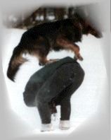 Mobile Hundeschule Susanne Schwarzer