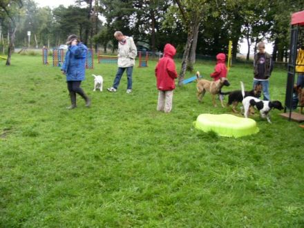 Mobile Hundeschule Susanne Schwarzer