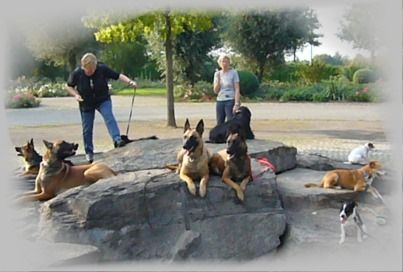 Mobile Hundeschule Susanne Schwarzer