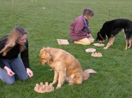Hundeschule Bergmann