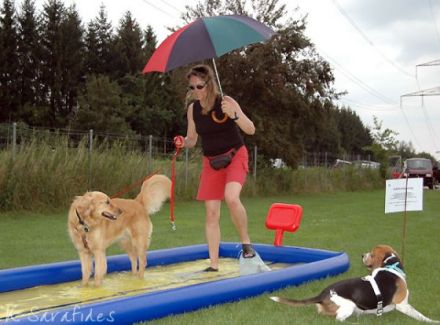 Hundeschule Bergmann