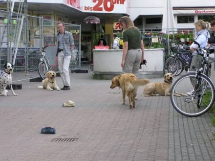 Hundeschule Bergmann