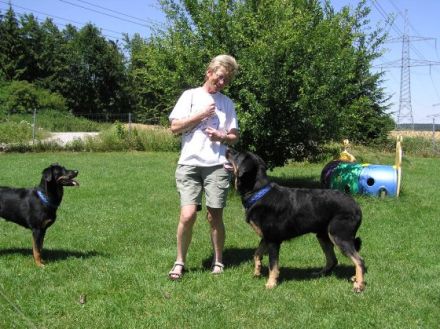 Hundeschule Bergmann