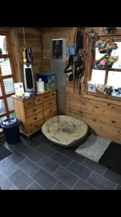 Die Hundehütte 4 Wände für 4 Pfoten