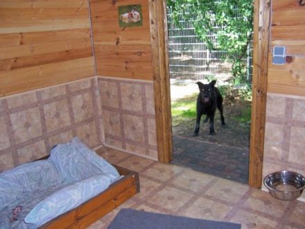 Die Hundehütte 4 Wände für 4 Pfoten