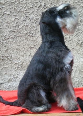 von den Parthewiesen