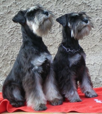 von den Parthewiesen