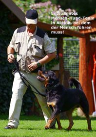 (Problem-)Hunde-Training im TH. Günzburg