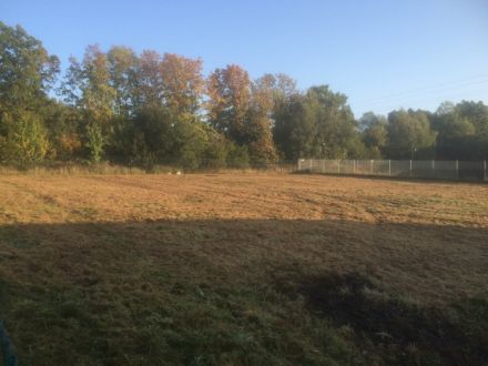 Agility - Hundeschule