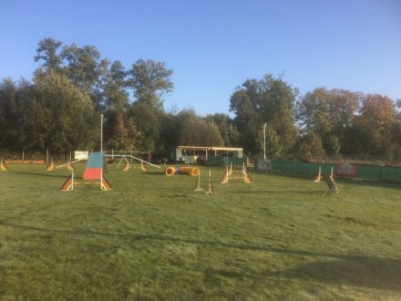 Agility - Hundeschule
