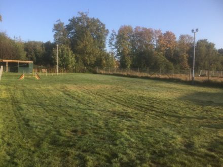 Agility - Hundeschule