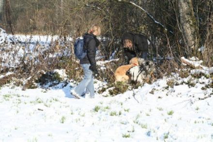 Hundeschule Leben mit Hund