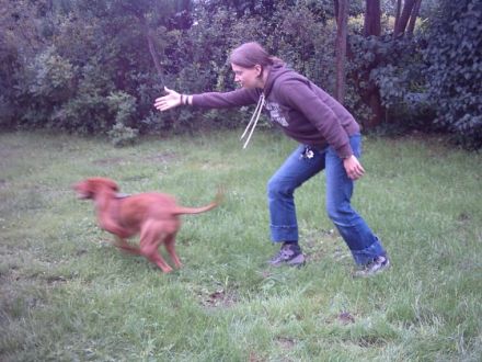 Hundeschule dogs-4-nature