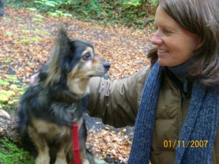 Hundeschule dogs-4-nature